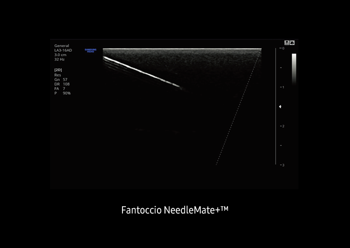 Immagine del fantoccio NeedleMate+