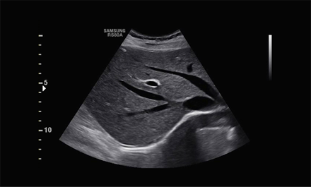 Immagine chiara e uniforme